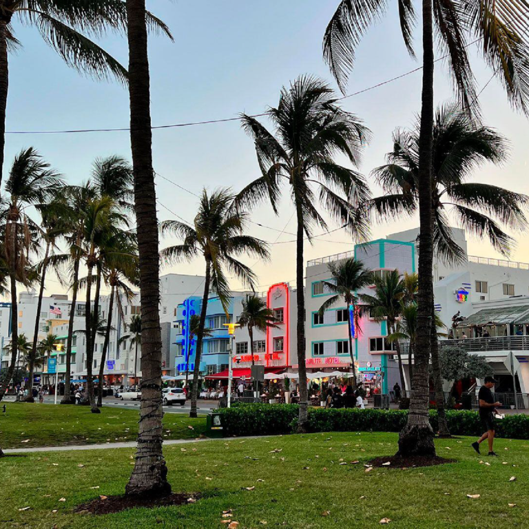 Vista de la ciudad de Miami con palmeras, representando el aumento de precios en los alquileres en la ciudad.