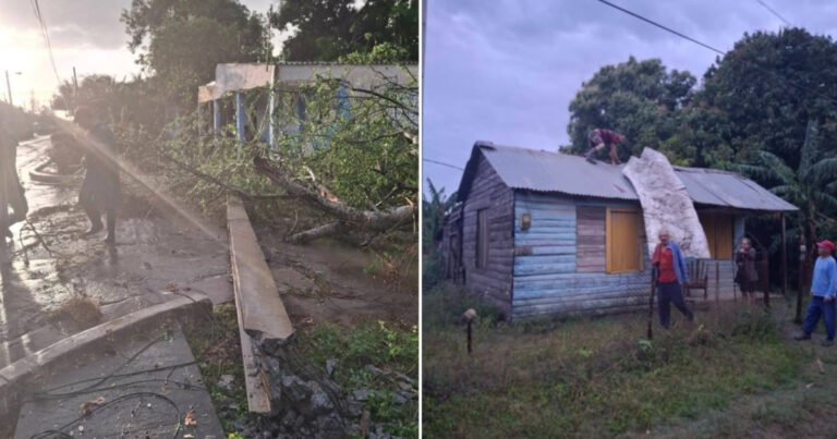 Severa Tormenta Las Tunas Daños: árbol caído y destrucción en Puerto Padre.