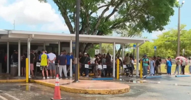 Inmigrante mostrando su licencia de conducir de Florida, ahora sujeta a renovación anual.
