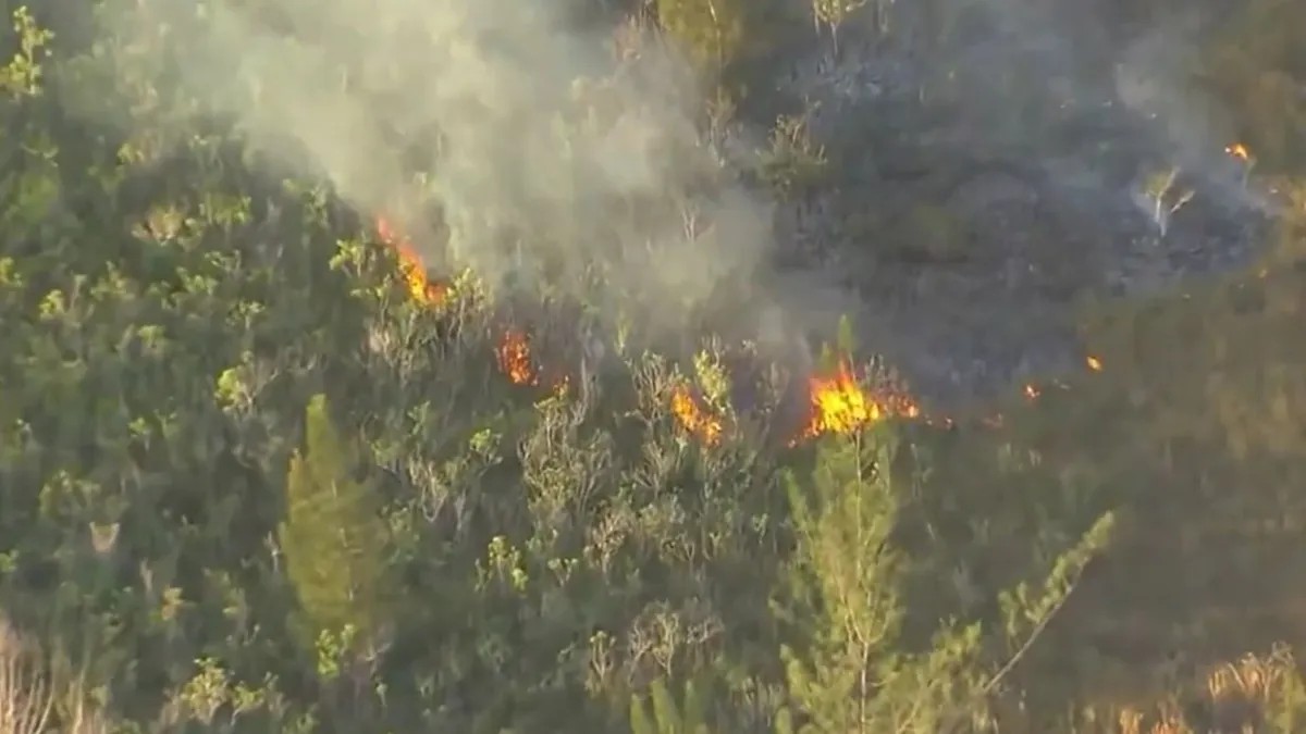 Bomberos luchando contra el intenso incendio forestal en Miami Dade que ha consumido 400 acres.