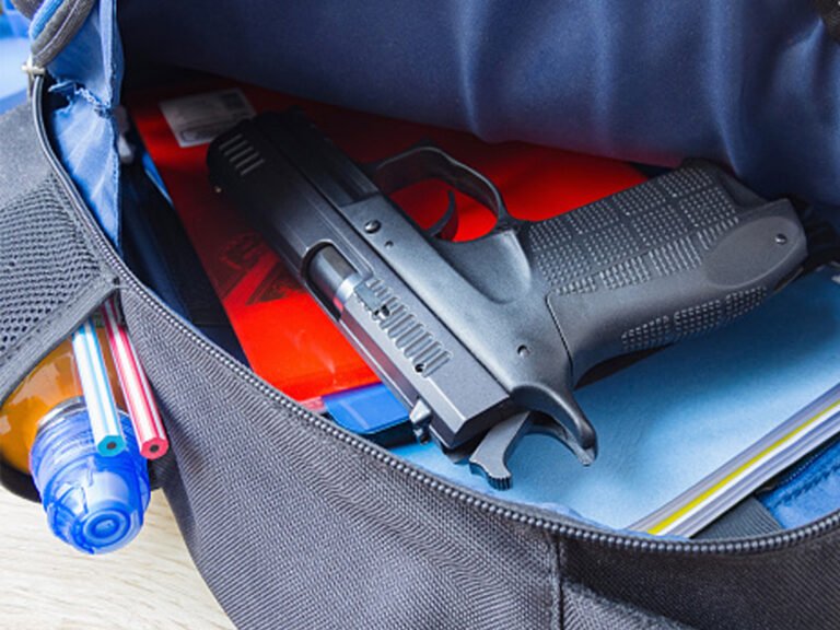 Pistola encontrada en la mochila de un estudiante de la escuela primaria Panther Run en Palm Beach, generando alerta de seguridad.