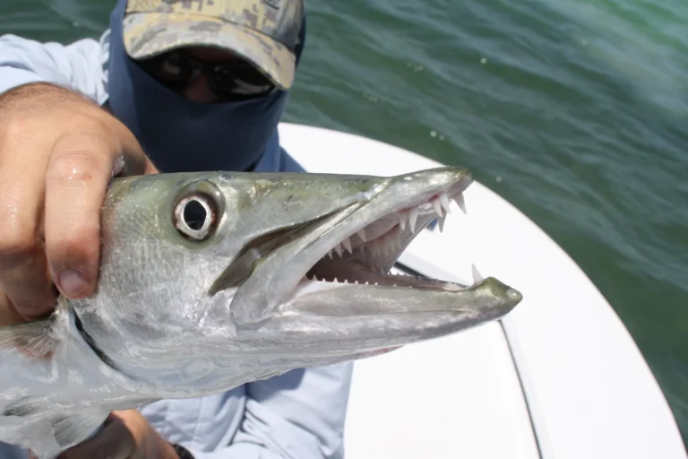 Mujer herida tras un presunto ataque de barracuda en la playa de Lauderdale-by-the-Sea, Florida.