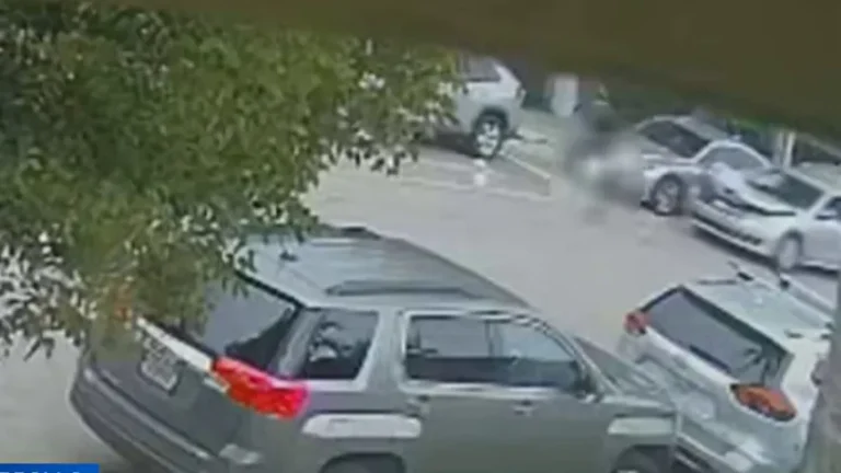Cinta de la policía en la escena de un atropello mortal en Miami, indicando la investigación del trágico accidente.