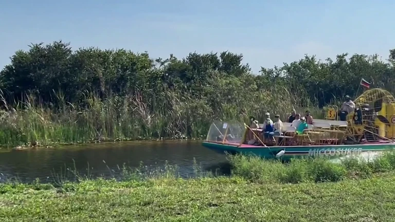 Paisaje de los Everglades, tierra ancestral de la tribu Miccosukee, amenazado por el centro de detención Alligator Alcatraz.