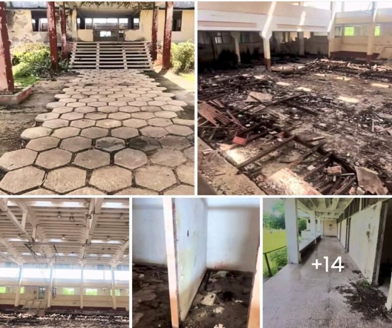 EIDE Fajardo: Ruinas en Santa Clara y el Deterioro de Cuba Fotografía conceptual y realista de la fachada de la antigua EIDE Fajardo en Santa Clara, mostrando su estado ruinoso, con maleza creciendo en sus paredes y ventanas rotas, simbolizando el abandono y la desidia. Estilo documental, alta definición.