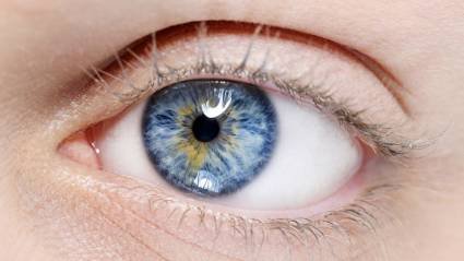 ¿Nuestros ojos son del color que creemos?