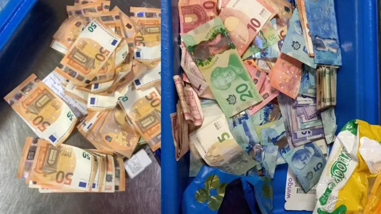 aduana-de-cuba-intercepta-divisa-oculta-en-equipaje-en-un-monto-similiar-a-20-mil-dlares-Sin-nombre