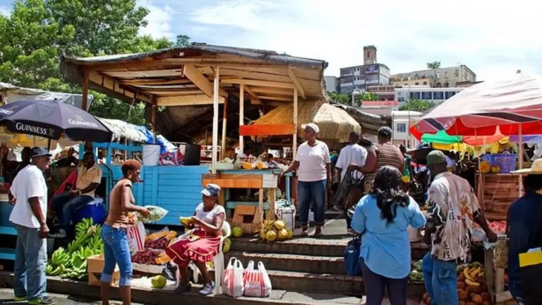 granada-ofrece-contratos-de-trabajo-a-cubanos-con-alojamiento-y-pasaje-asegurados-G