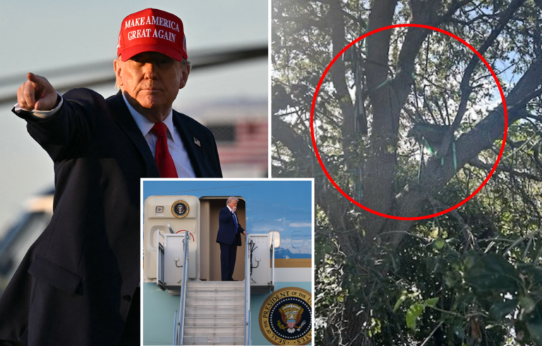 Punto de Mira: El Servicio Secreto Descubre un Puesto de Vigilancia Camuflado con Vista Directa al Air Force One de Trump