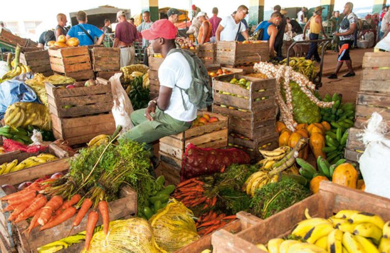 Brecha entre Regulación y Realidad en los Mercados de La Habana