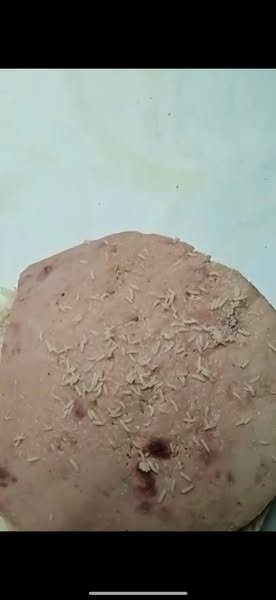 Denuncia en Pinar del Río: niños reciben merienda infestada en escuela