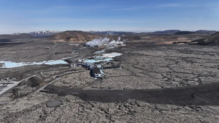 Por primera vez en la historia detectan mosquitos en Islandia, uno de los últimos santuarios libres de estos insectos