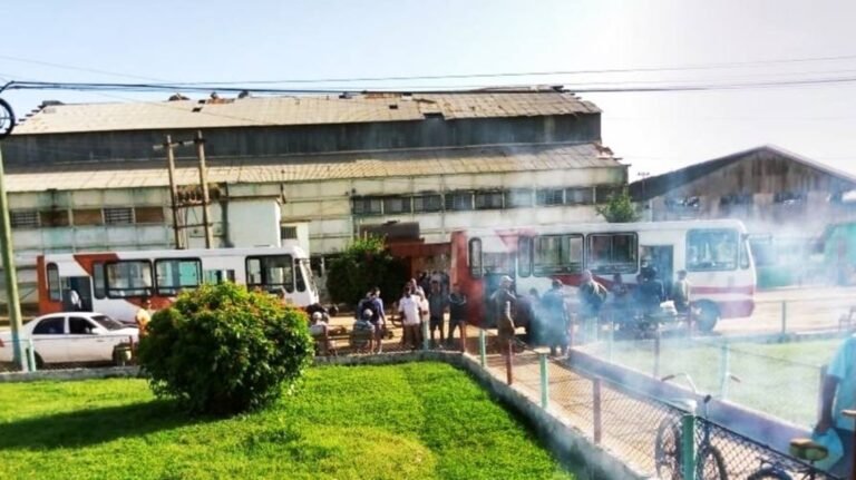 El Pueblo Entero Está Enfermo, Brote de Chikungunya en Matanzas
