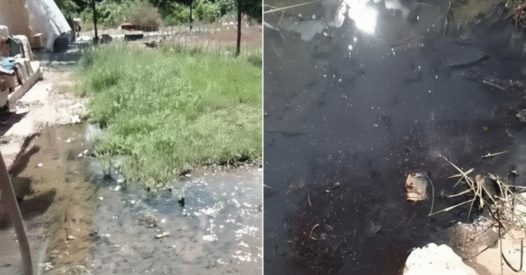 Untitled-20251020-040327-0311