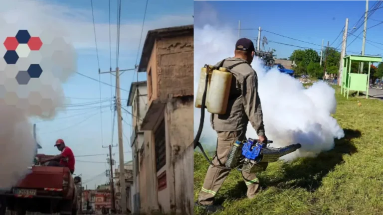 Cientos de Casos Febriles Semanales y un 90% de la Población Infectada en Palmira