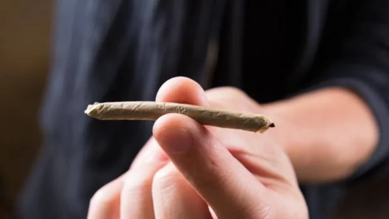 Capturan a Cubano con Hachís en un Ómnibus: ¿Mano Dura o Cortina de Humo?