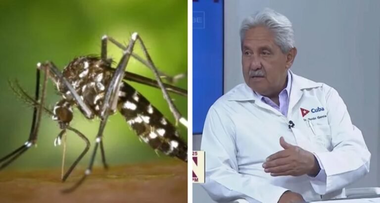 Captura de pantalla_21-11-2025_164517_lmsreporta.com