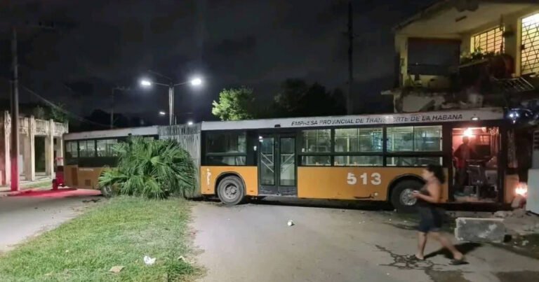 «Cayó en desgracia el 513»: Ómnibus articulado se estrella contra casa en Avenida Santa Amalia