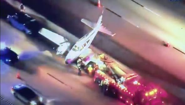 597151804_1441660460889969_8165375174709727787_n