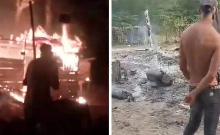 Captura de pantalla_12-12-2025_124332_lmsreporta.com