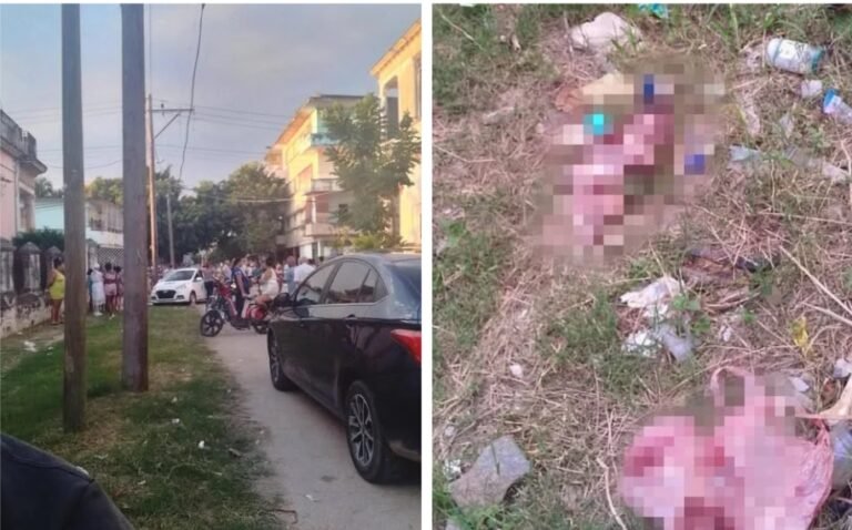 Captura de pantalla_4-12-2025_152039_lmsreporta.com