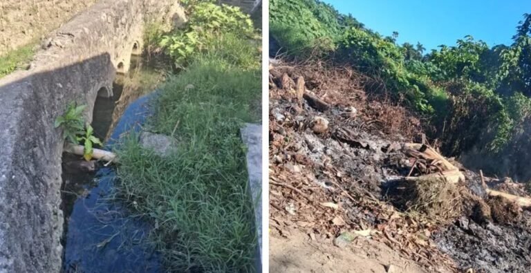 Ciudadana de Niquero denuncia prioridades municipales: multan siembra de yuca mientras persisten vertederos y alcantarillas colapsadas