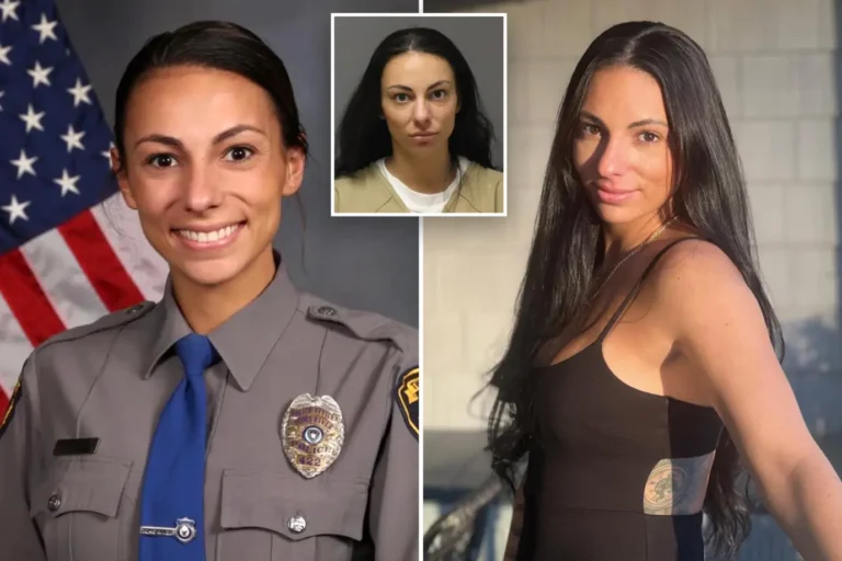 Exagente de policía de Nueva Jersey pierde su carrera tras allanamiento y agresión a expareja