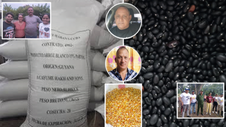 Denuncia Publicada: Red de Acaparamiento y Venta Ilegal de Cereales en Yara con Complicidad de Autoridades Sin título