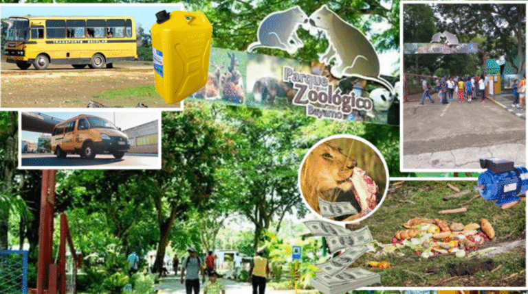 Denuncia Pública Anónima: Corrupciones y Desvíos Masivos en el Zoológico de Bayamo