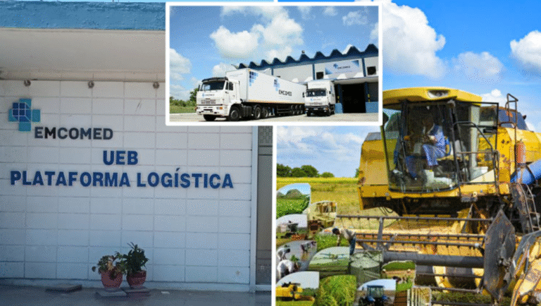 Denuncia urgente: Desvío sistemático de combustible en la estación "La Martí" afecta a productores agrícolas en Granma Sin título