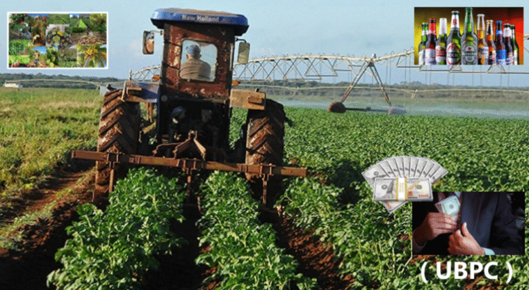 Nueva Denuncia Anónima Apunta a Presidente de UBPC en Cienfuegos por Enriquecimiento y Uso Ilegal de Recursos