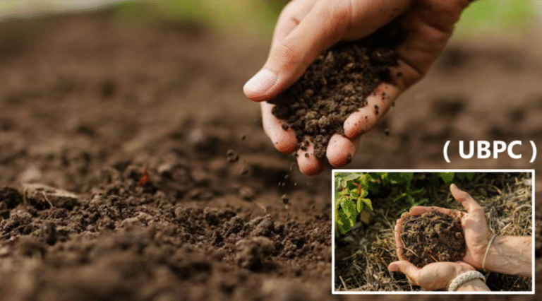 Campesina de Rodas Denuncia Represalias de Jefe Cooperativo por Reclamar Tierras para Sembrar