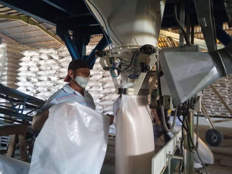 Denuncian red de corrupción en UEB Ramón Paz Borroto de Granma: director entrega tierras a cambio de dinero y exime a amigos de cumplir con el Estado 39da785d-8991-4e44-b1bc-2356d53d0830