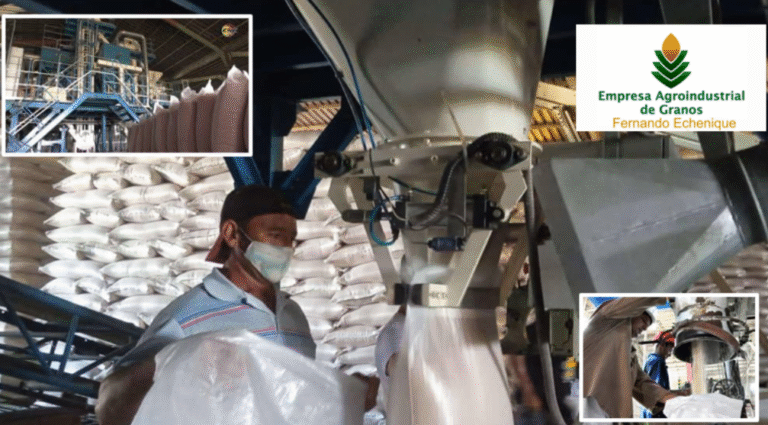 Amplían denuncia sobre corrupción en CAI arrocero Fernando Echenique: revelan faltante de varias toneladas de arroz húmedo en UEB