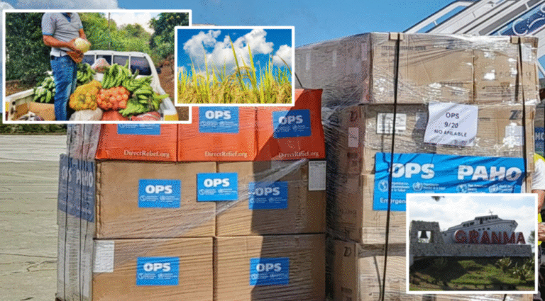 ¿Dónde están las ayudas humanitarias que en Granma no llegan? Campesinos denuncian que miles de caballerías de arroz pertenecen a dirigentes y la cosecha va a parar a revendedores del gobierno