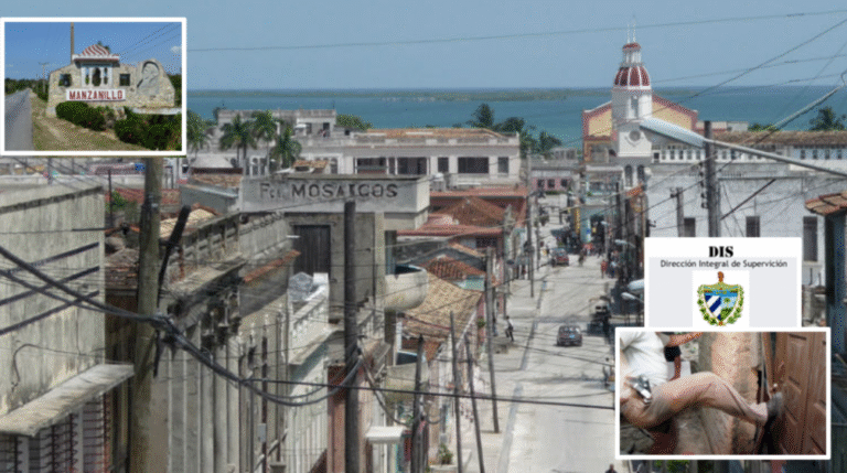 Nuevos detalles sobre allanamiento a jefa de la DIS en Manzanillo: encontraron aceite, cigarros, harina y confituras en su casa