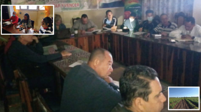 Contraste entre discurso y realidad en la campaña de tomate de Yara: autoridades recorren áreas mientras campesinos denuncian abandono y pérdidas