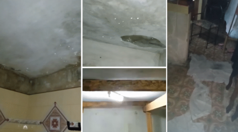 Denuncia Pública con Nombre y Apellidos: Yumilia Casadevall Autoriza a LMS a Exponer su Lucha Contra la Corrupción en Vivienda del Cerro