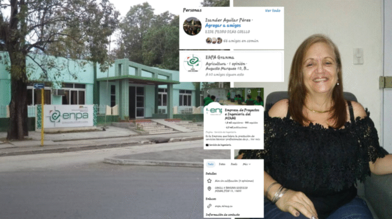 Denuncian a directora de Empresa de Proyectos Agropecuarios en Granma por maltrato, despilfarro y favoritismo: «Va a la playa con el carro mientras la producción se queda sin transporte»