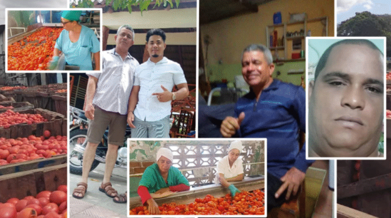 Trabajadores de Fábrica de Conservas Yara denuncian abuso y robo de puré: «Los jefes sacan burras mientras a nosotros nos dan un poquito sin sal»