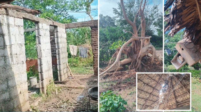 Tras denuncia en LMS, funcionarios visitaron a ancianos damnificados por huracán Melissa… pero solo para investigar quién los denunció