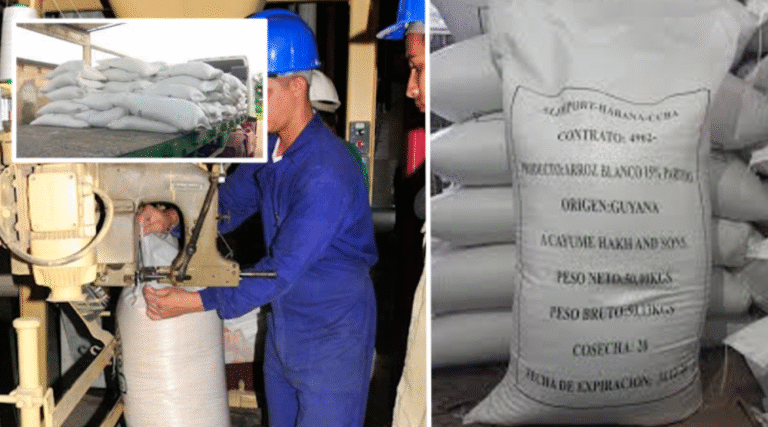 Denuncian robo de una tonelada de arroz en molino arrocero de Bayamo con complicidad de guardias y electricista: «Los responsables viven en borrachera dentro de la entidad»