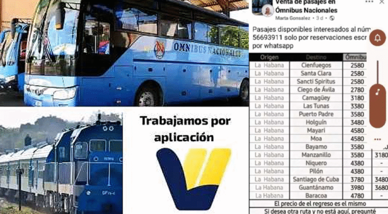 Denuncian mafia en terminal de ómnibus de Manzanillo: "Los pasajes los acaparan por la aplicación y los revenden a 4,000 pesos" Sin título