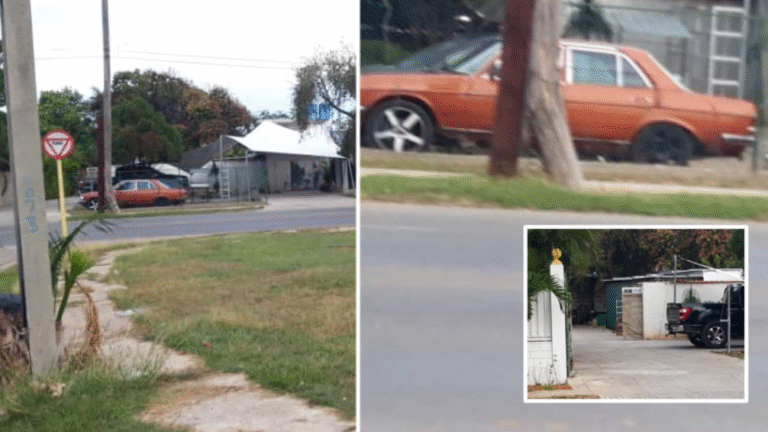 Escuelas blindadas, mansiones y acaparamiento: la otra cara de la «huelga silenciosa» que estremece a Cuba