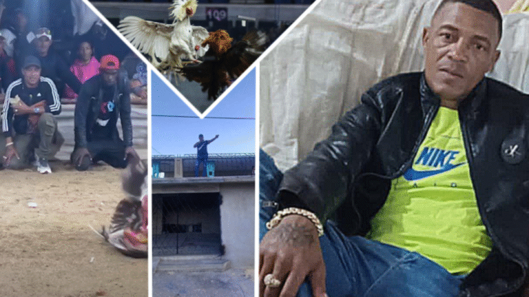 Dariel «Chambe» Castillo: el rey de las vallas clandestinas en Pinar del Río que opera con impunidad, corrompe menores y tiene una autopista hasta su bodega mientras el pueblo no tiene techos