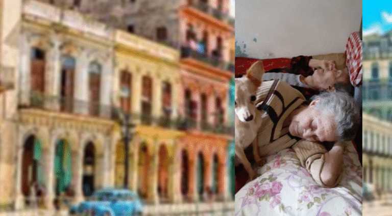 Mujer denuncia que lleva 22 años en un cubículo de 3×3 metros con sus padres de 92 y 80 años