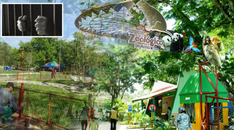 Escándalo en el Zoológico de Bayamo: condenan a mujer a 12 años de prisión mientras los verdaderos responsables preparan su salida del país