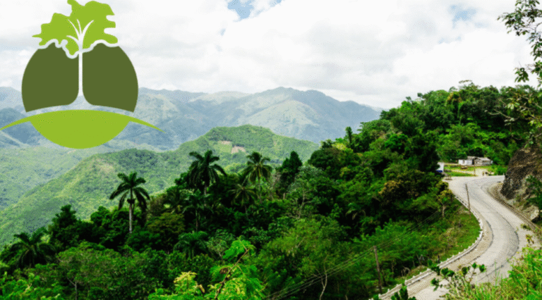 Trabajador de Flora y Fauna en La Palma denuncia red de corrupción: aserrío estatal paralizado mientras uno particular se queda con el 50% de la madera y la UEB le paga a sus trabajadores Sin título