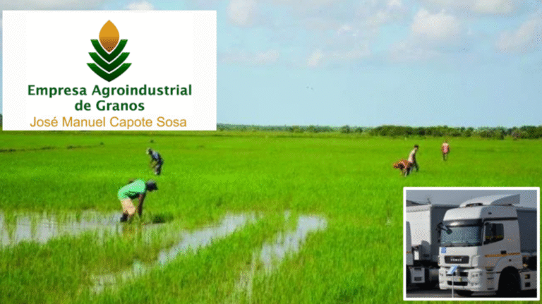 Denuncian arriendo ilegal de rastra «súper kama» en empresa arrocera Capote Sosa: «Hace más de 2 años que está en Las Tunas y nadie la revisa»