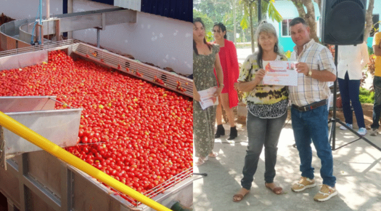 Trabajadores de la Fábrica de Yara denuncian maltrato laboral y favoritismo de la jefa de Recursos Humanos: «Nos humilla y nos maltrata»